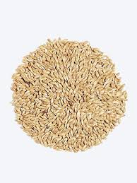 Canary Seed